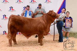 Building Stronger Community Connections building stronger community