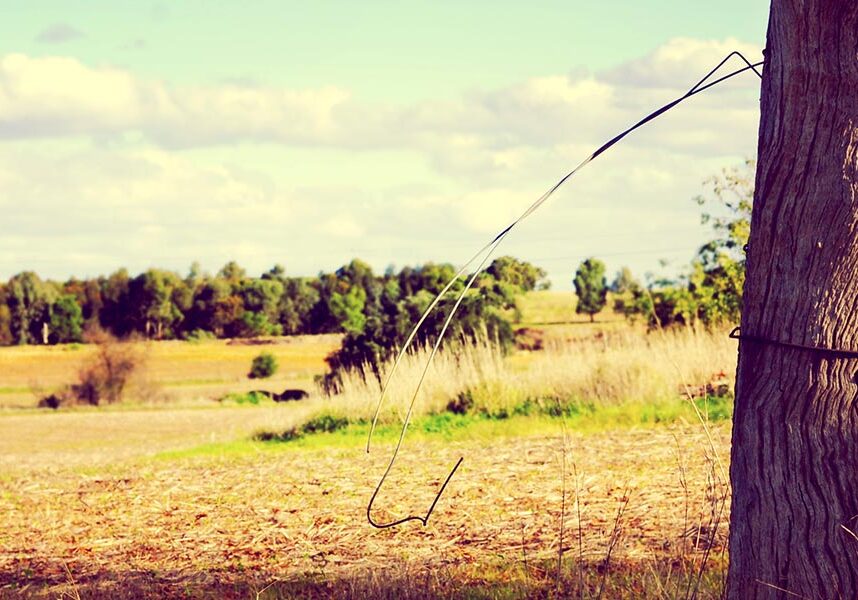 community involvement